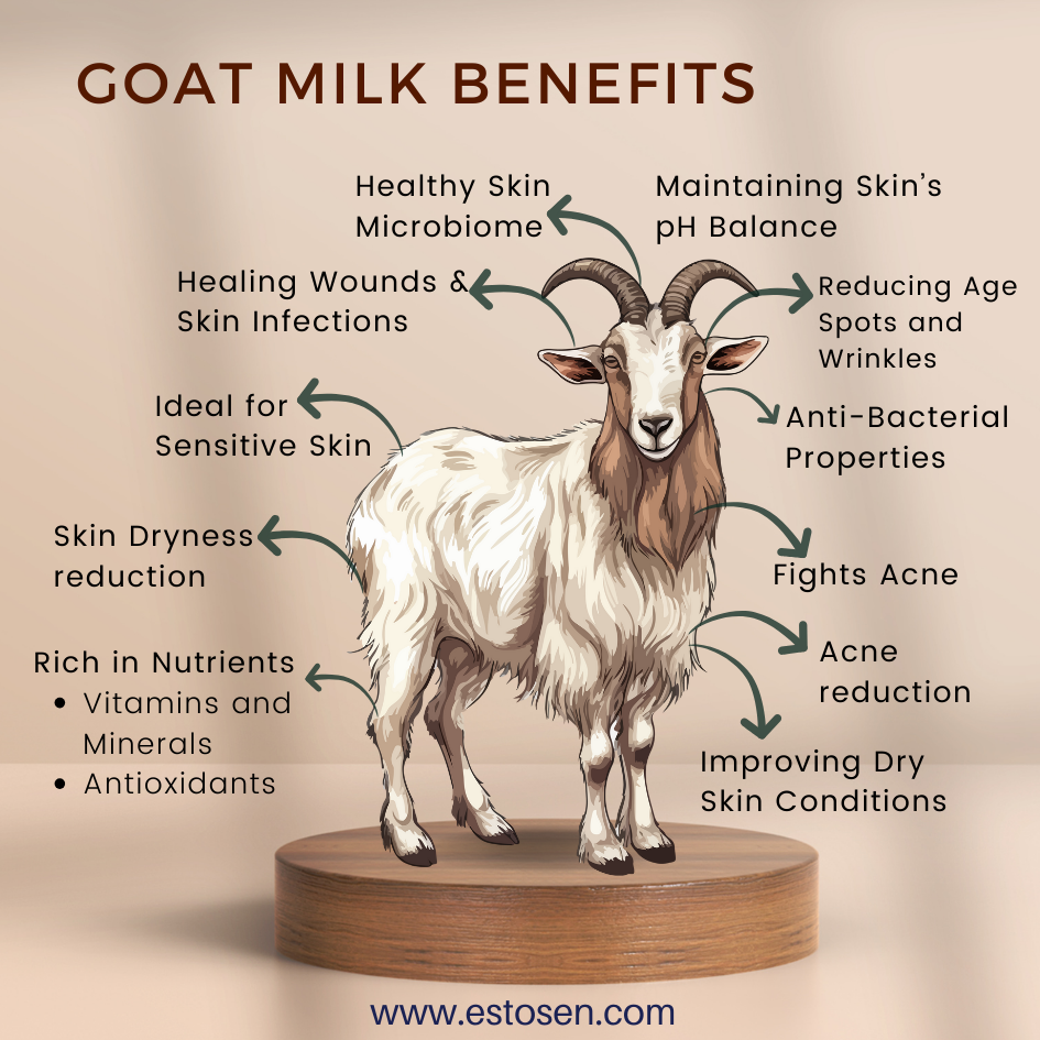 Estosen Fresh Goat milk, Carrot seed oil & Carrot powder Handmade Soap