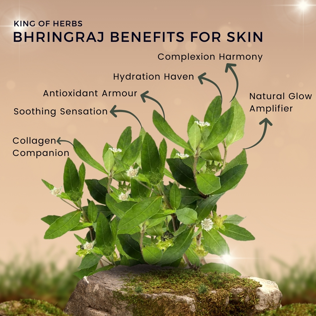 Estosen Bhringraj  Veg Glycerin Premium Handmade Hair Care Soap